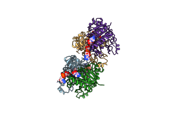 8RFM image