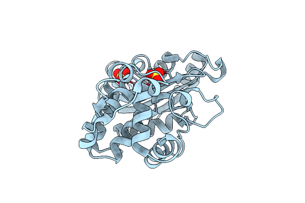 8RFZ image