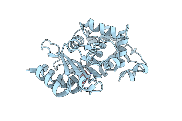 8RG2 image