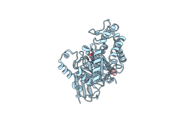 8RG4 image