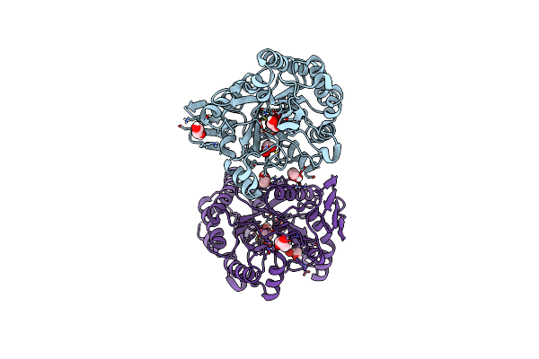 8RG5 image