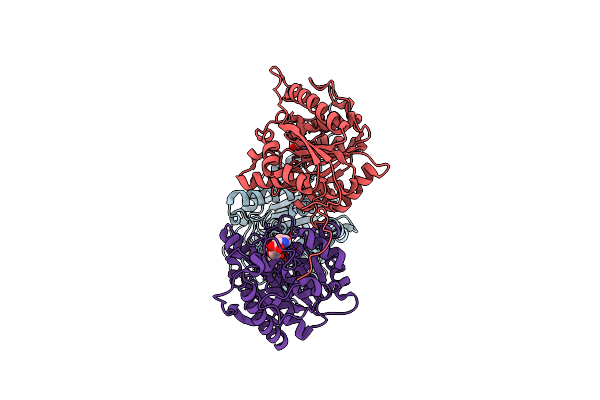 8RG6 image