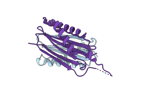 8RGI image