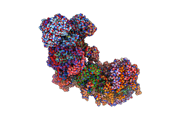 8RGP image