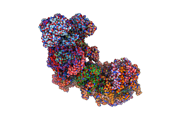 8RGR image