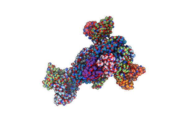 8RH1 image