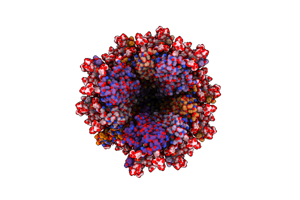 8RH5 image