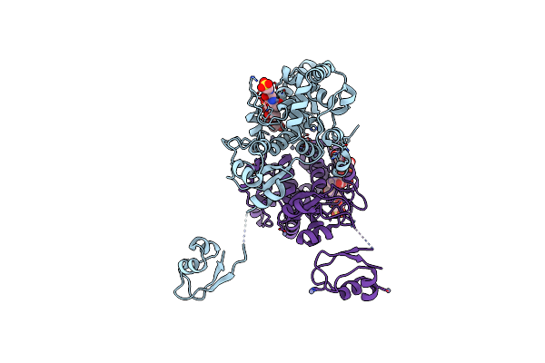 8RHF image