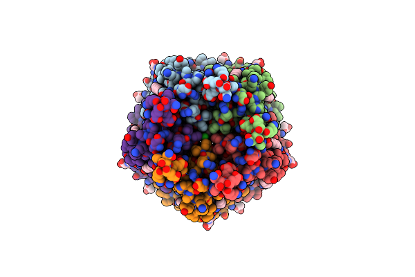8RHG image