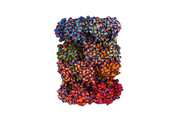 8RHK image