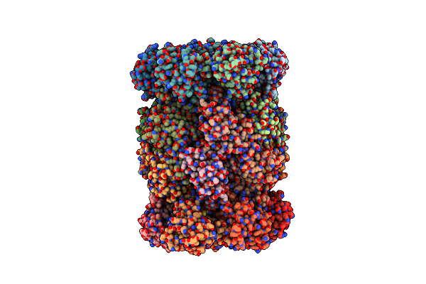 8RHL image