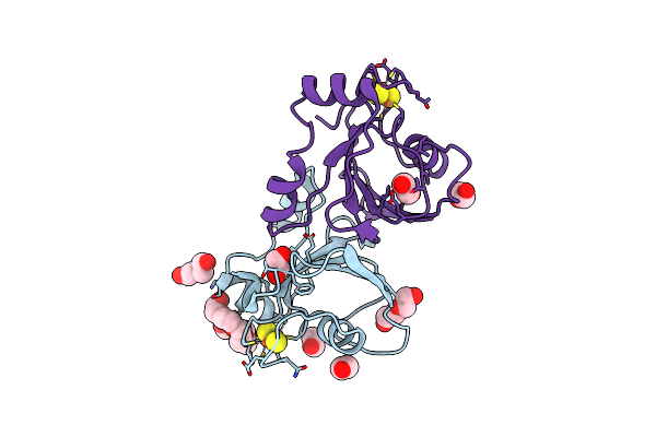 8RHO image