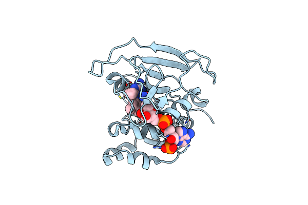 8RHT image