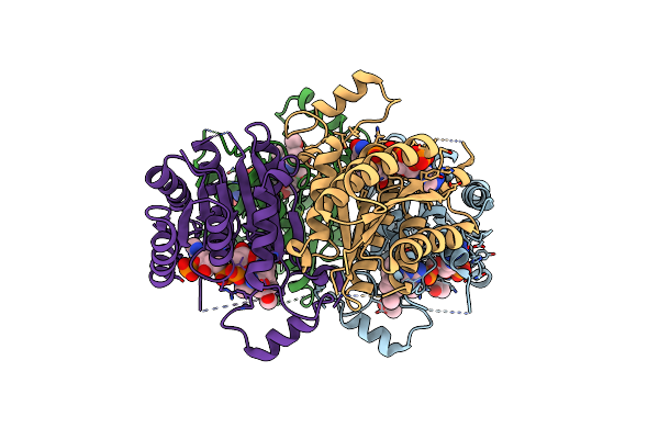 8RHV image