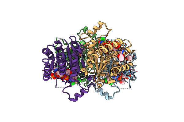 8RHX image