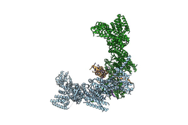 8RHZ image