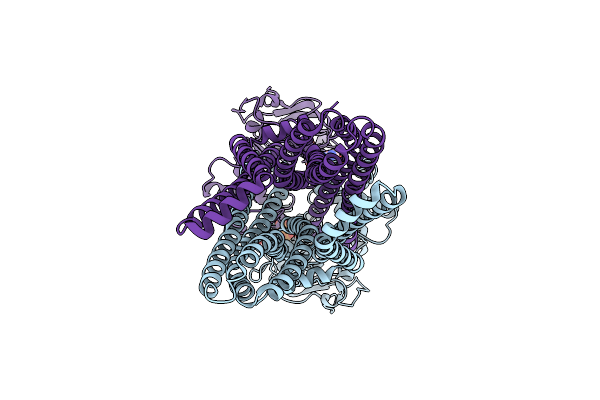 8RI1 image