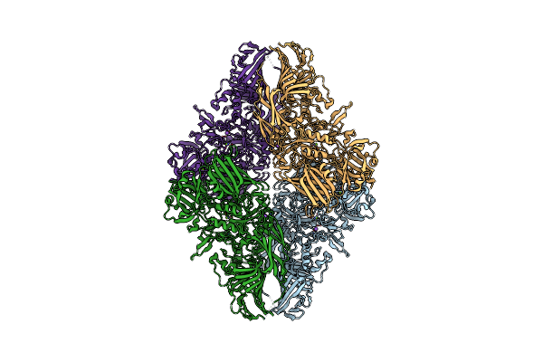 8RI6 image