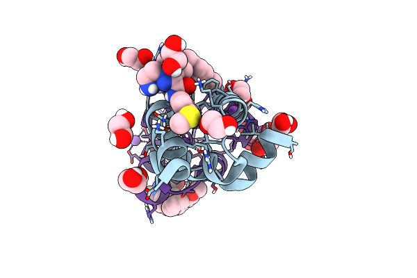 8RIB image