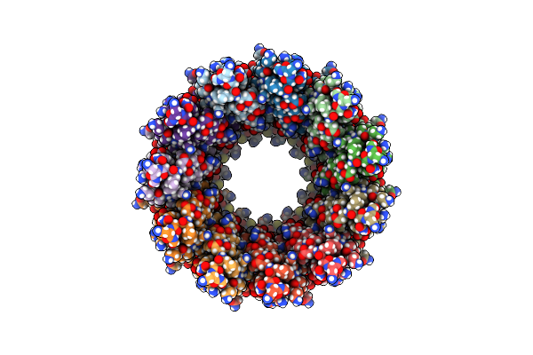 8RIL image