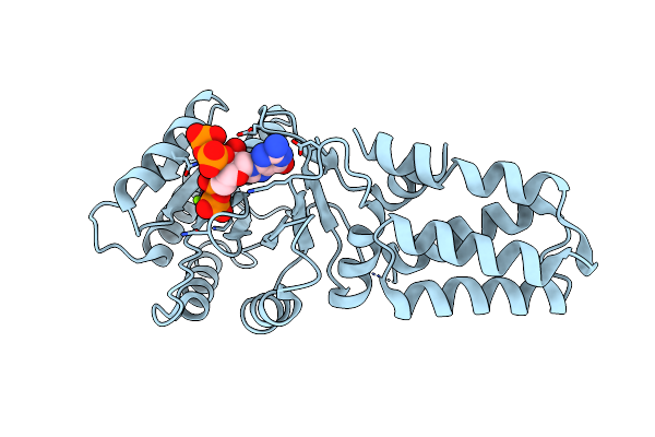 8RIX image