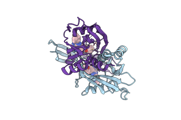 8RIY image