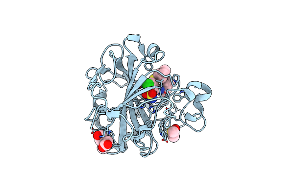 8RJ2 image