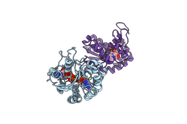 8RJ6 image