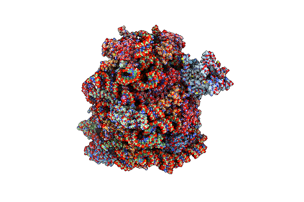 8RJB image