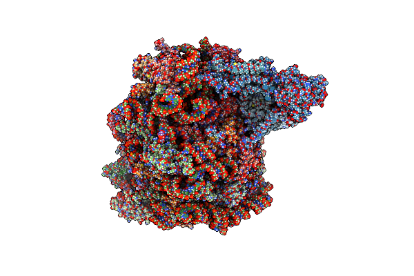 8RJC image