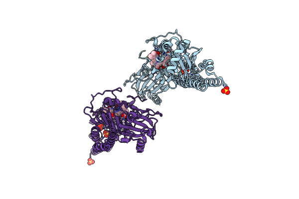 8RJS image
