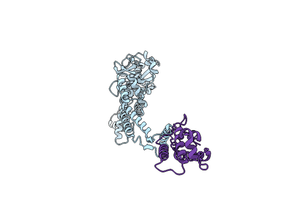 8RKA image