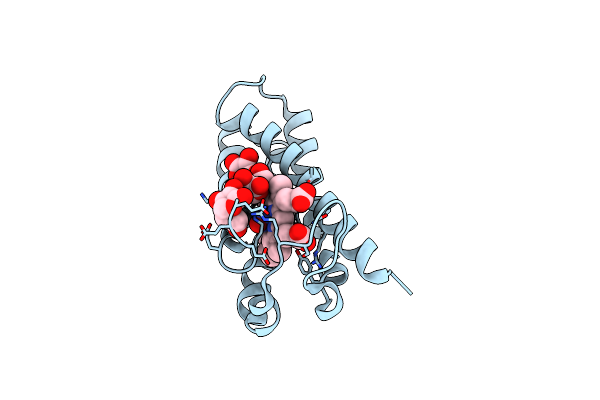 8RKP image