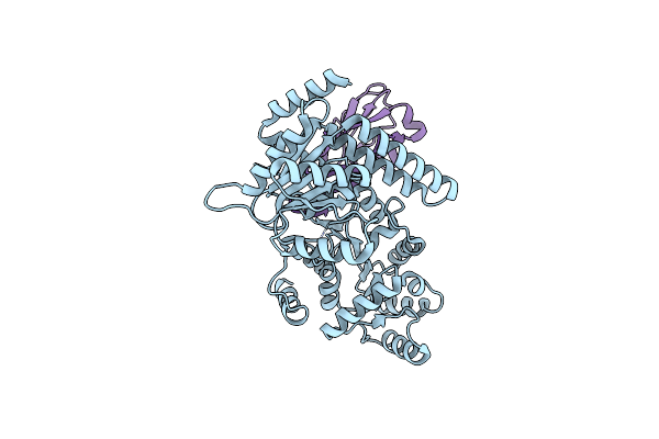 8RLA image