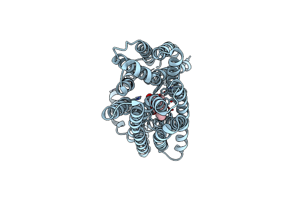 8RLD image