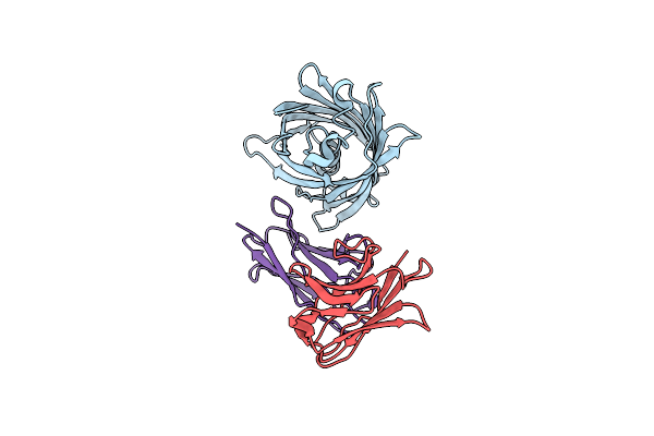 8RLE image