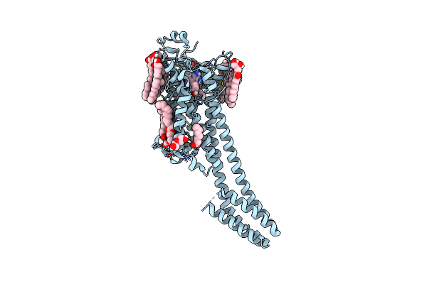 8RLN image
