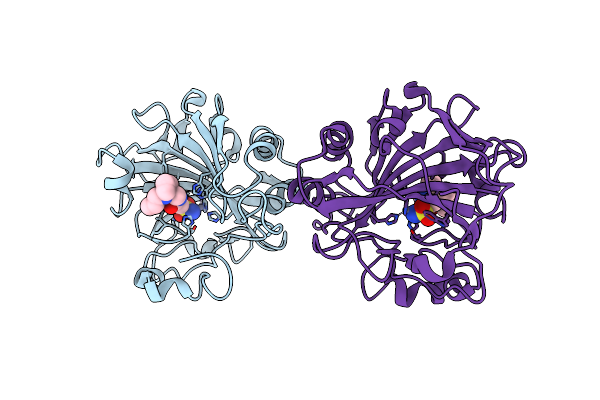 8RLO image
