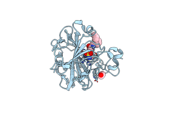 8RLP image
