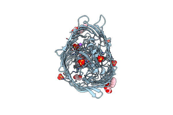 8RMI image