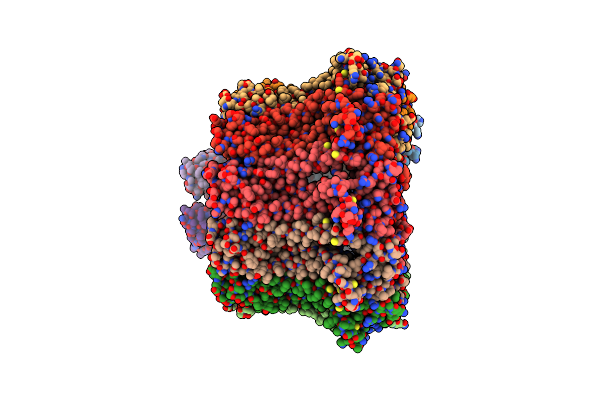 8RML image