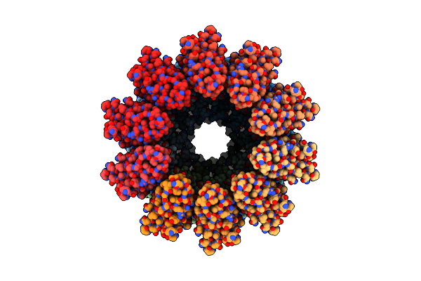 8RMN image