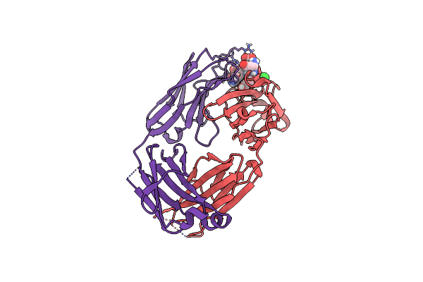 8RMO image