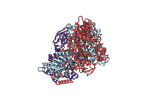 8RMP image