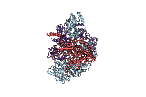 8RMS image