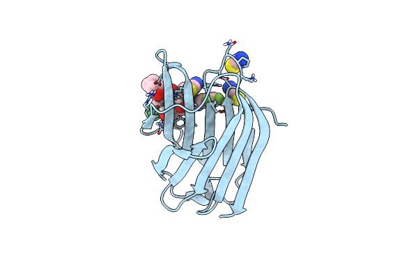 8RMT image