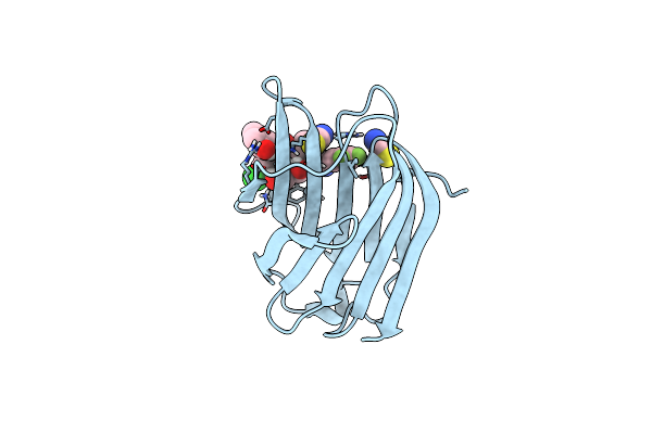 8RMU image