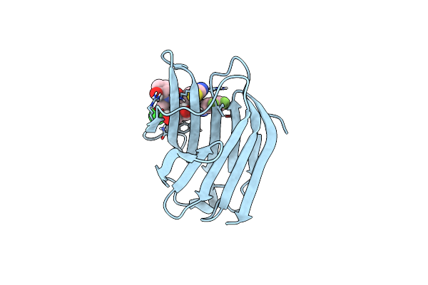 8RMV image