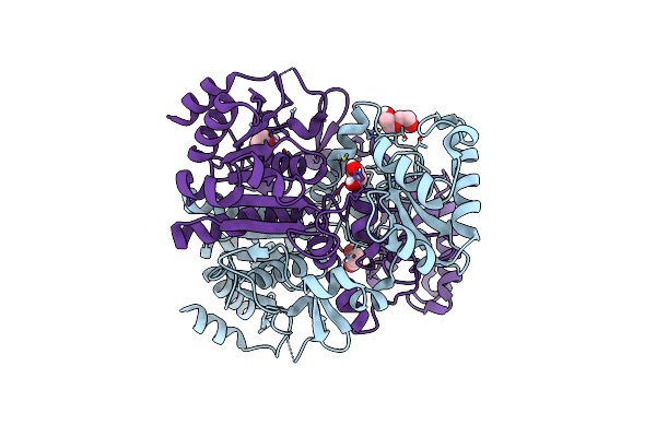 8RMW image