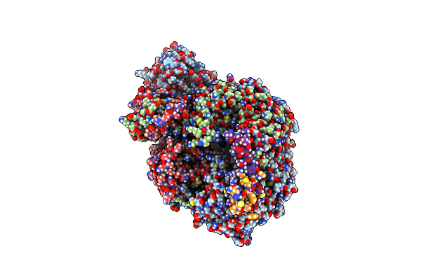 8RN5 image